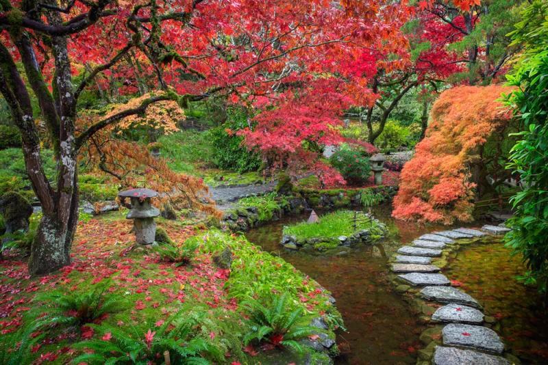 The Butchart Japanese Gardens in the Eyes of the Amazing Jeff Friesen