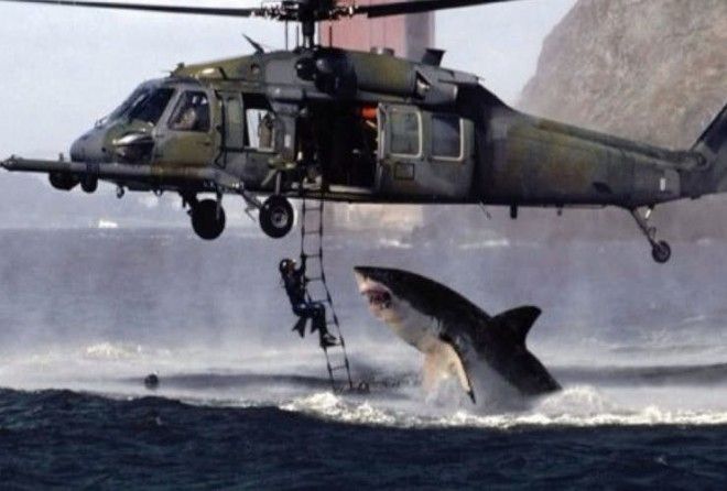 15 fake viral photos that fooled us all 15 fake viral photos that fooled us all