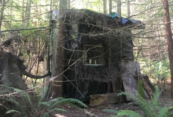 Forest Ranger Stumbles Upon A Mysterious Cabin In The Woods