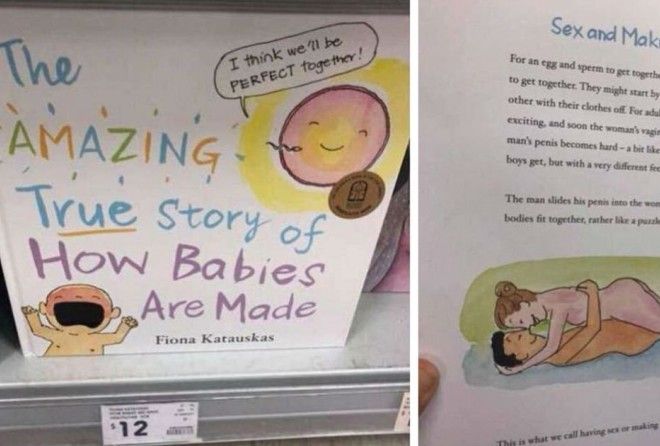 fiona katauskas book