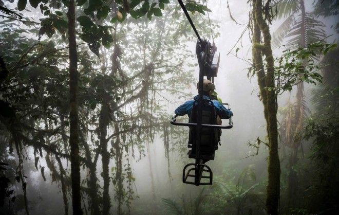 Cycle through the air in the cloud forests of Ecuador