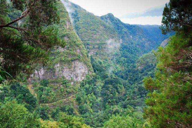 Delve into the hidden side of Madeira Island Portugal