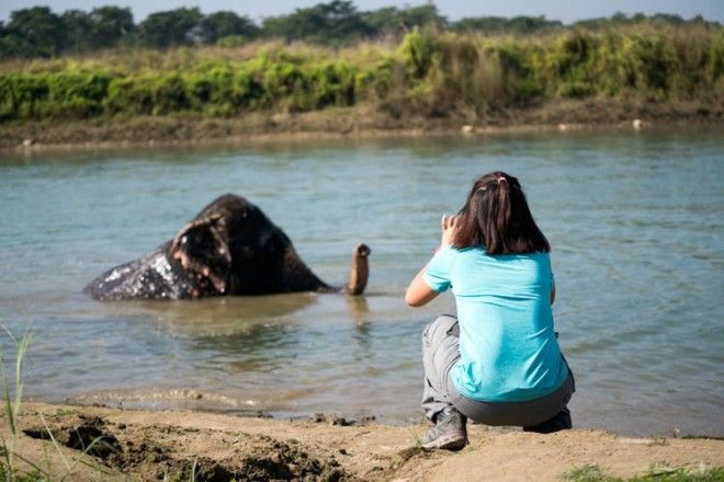 Observe the wildlife in Chitwan National Park Nepal