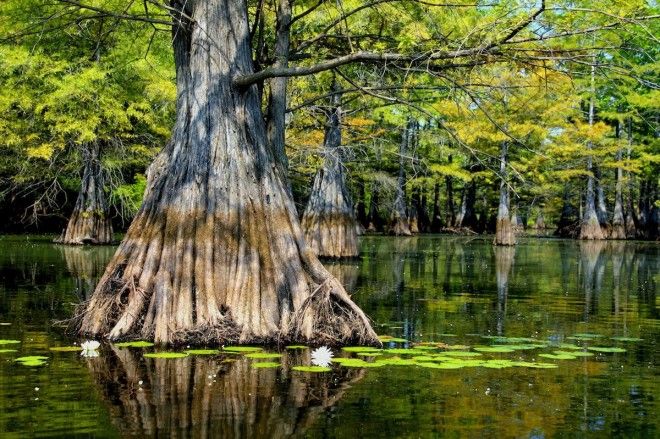 Take a road trip around Louisiana USA