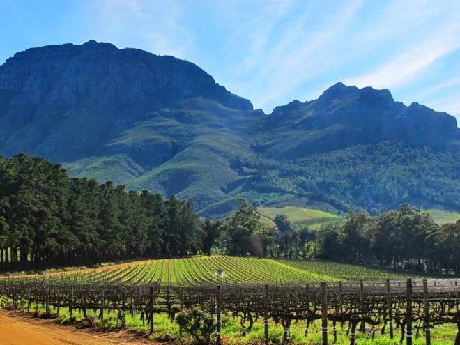 Take in some magic and food and wine in South Africa