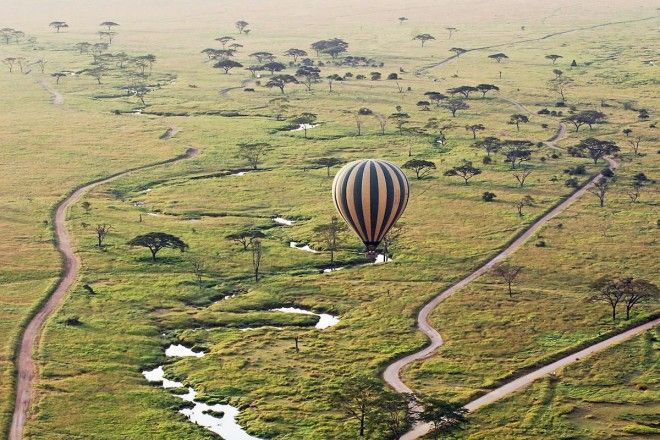 Take part a hot air balloon safari over a nature reserve in Tanzania