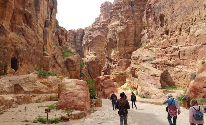 Tour the rosy mountains of Petra Jordan