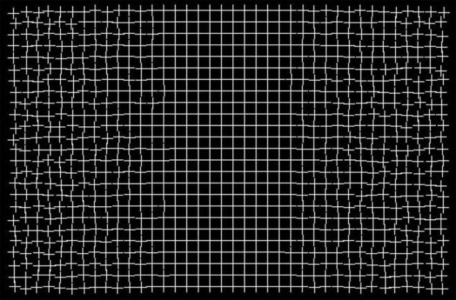 healing grid illusion by Ryota Kanai 