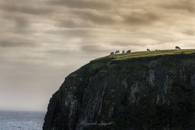 Calm Irish Landscape