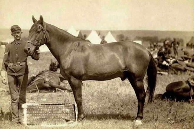 Captain Myles Keoghs Comanche