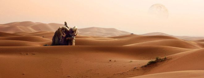 Bantha Desert