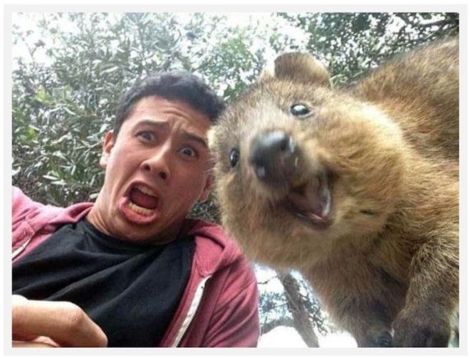 20 Hilarious People Who Took Selfies To The Next Level