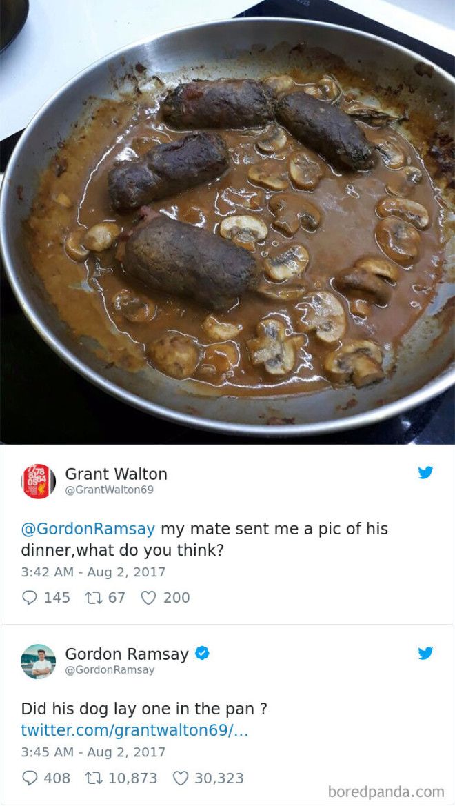 Times Gordon Ramsay Roasted Peoples Cooking Skills On Twitter