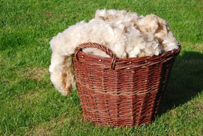 Basket of wool on the grass