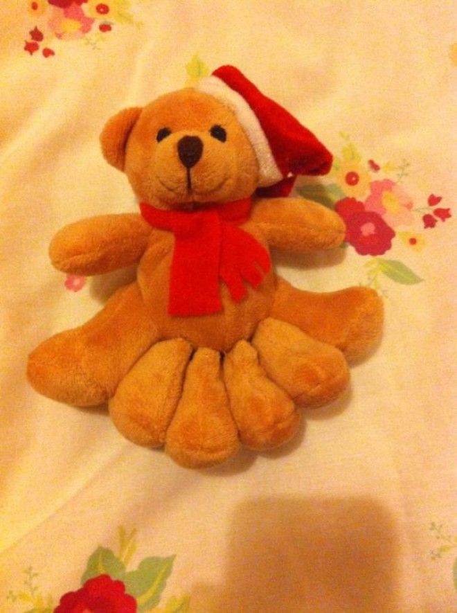 My Friend Asked Her Parents For A 6ft Teddy Bear For Christmas Today She Got This