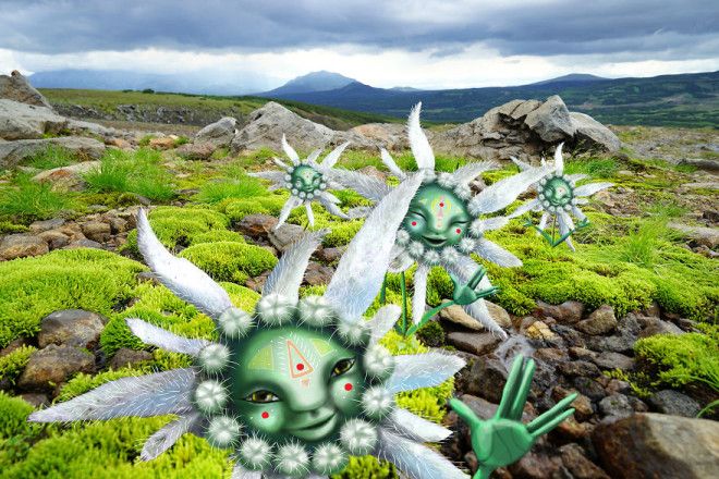 The New Fairy-Tales Of Kamchatka The New Fairy-Tales Of Kamchatka
