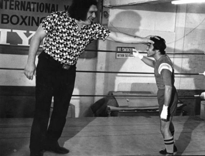 Andre The Giant Next To A Boxer