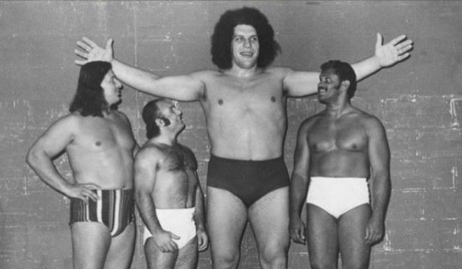 Andre The Giant Next To Wrestlers