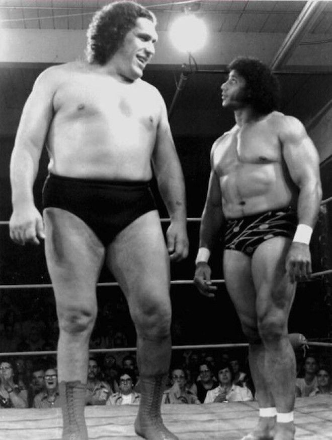 Andre The Giant Photographs