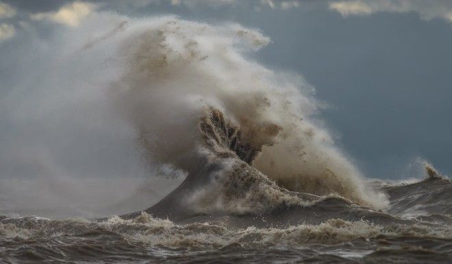 If the waters get too rough Sandford returns to the shore and shoots using a longer telephoto lens like he would on a sports field