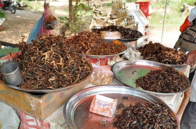 A Cafe In Cambodia Is Creating... is listed (or ranked) 3 on the list 11 Of The Most Delicious Ways To Eat Bugs Around The World