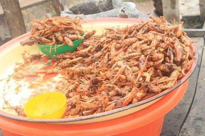 Spice Up Your GORP With Some C is listed (or ranked) 5 on the list 11 Of The Most Delicious Ways To Eat Bugs Around The World