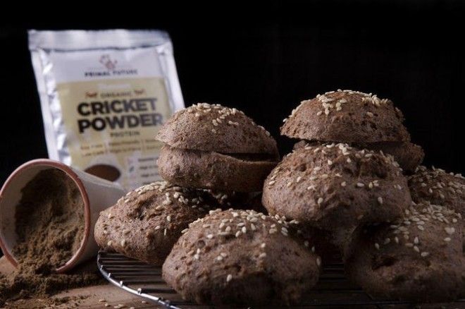 Cricket Flour Is Taking The Wo is listed (or ranked) 6 on the list 11 Of The Most Delicious Ways To Eat Bugs Around The World