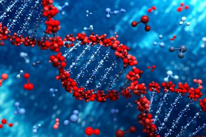Scientists created the closest thing anyone has ever made to a new life form