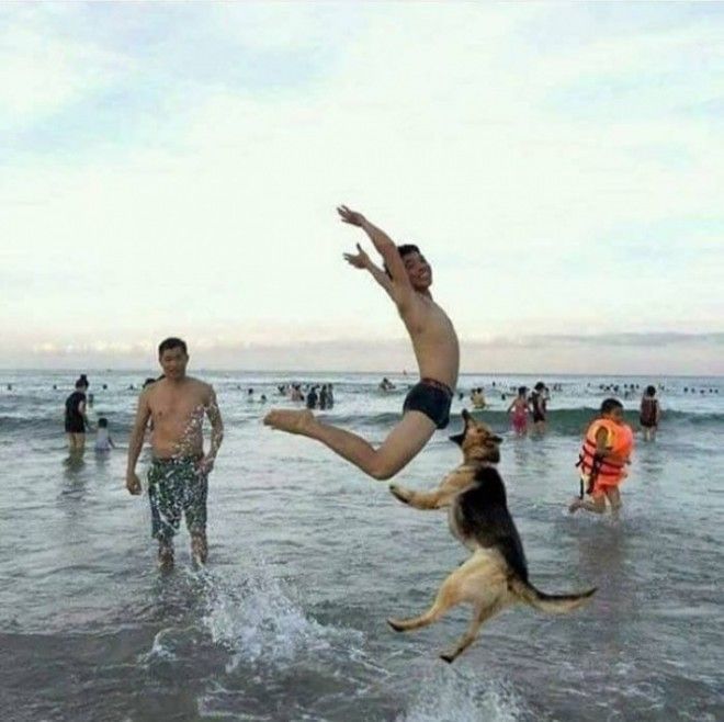 24 Funny Photos Taken Right Before Disaster Happened