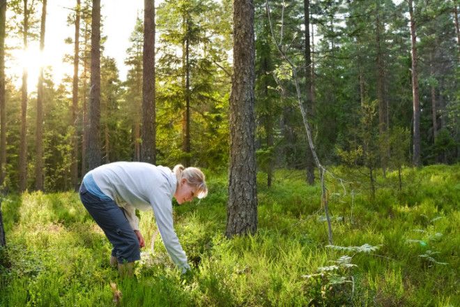 Finland Is 100YearsOld Today So Here Are 100 Reasons To Visit