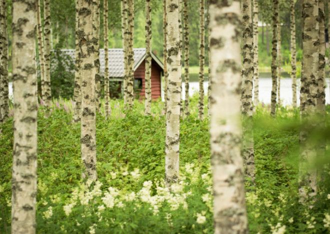 Finland Is 100YearsOld Today So Here Are 100 Reasons To Visit