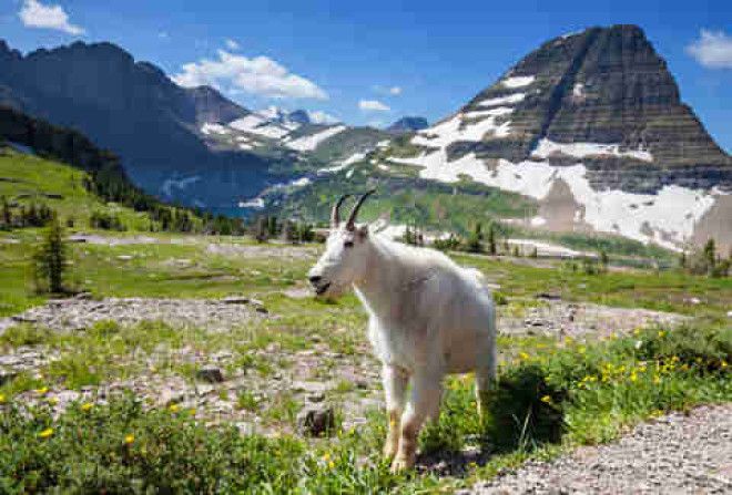 Glacier National Park