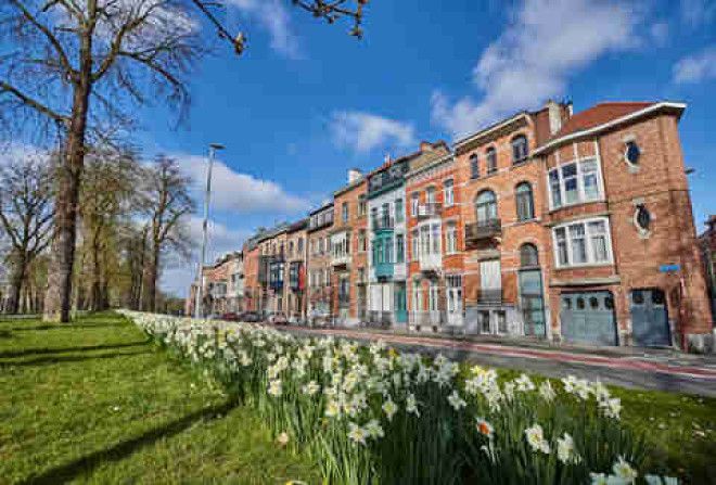 Leuven City