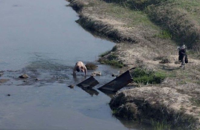 Man Bathing In A River Near His Town