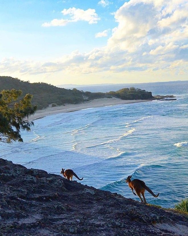 24 Photos Showing That Australia Is Not Just Another Country