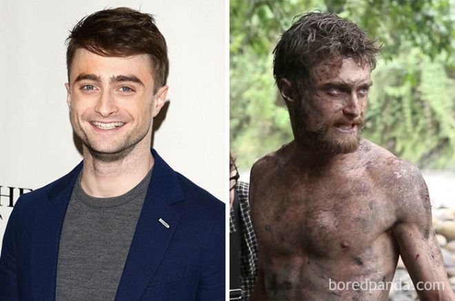 Daniel Radcliffe Jungle