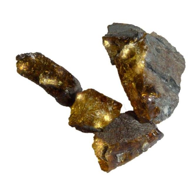 55-million-year-old amber, retrieved by engineers while expanding the London Underground
