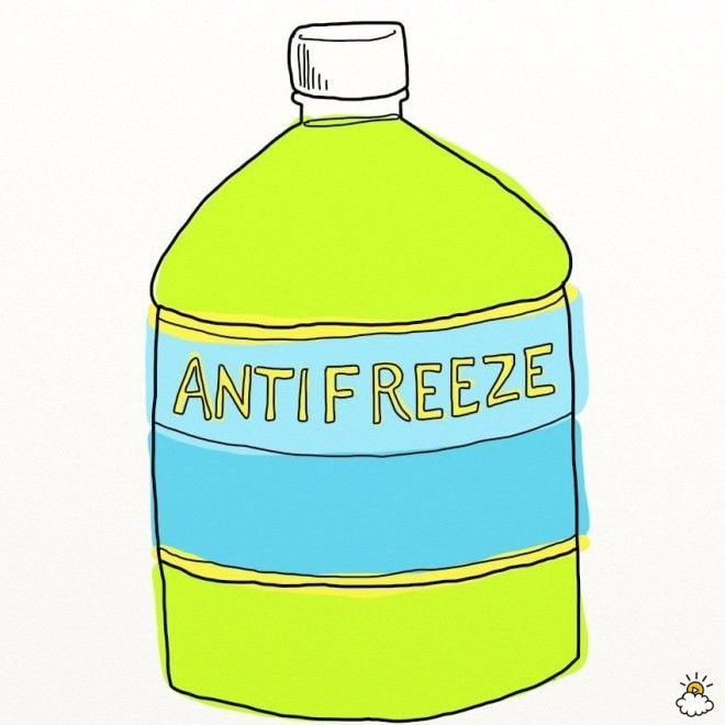 4. Antifreeze 