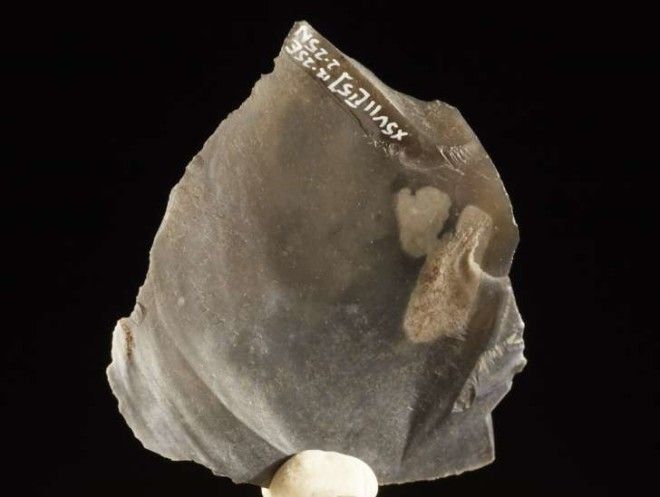 An 8000-year-old piece of flint, discovered by archaeologists while expanding the London Underground.