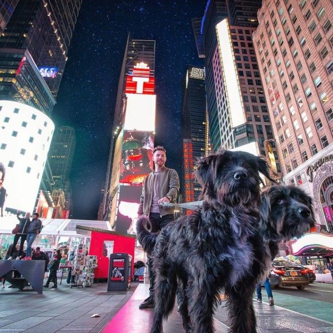 Travel-With-Two-Homeless-Dogs-Jordan-Kahana