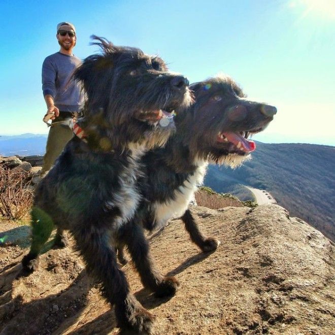 Travel-With-Two-Homeless-Dogs-Jordan-Kahana