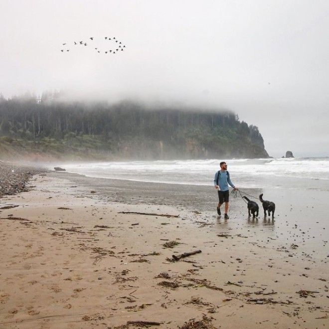 Travel-With-Two-Homeless-Dogs-Jordan-Kahana