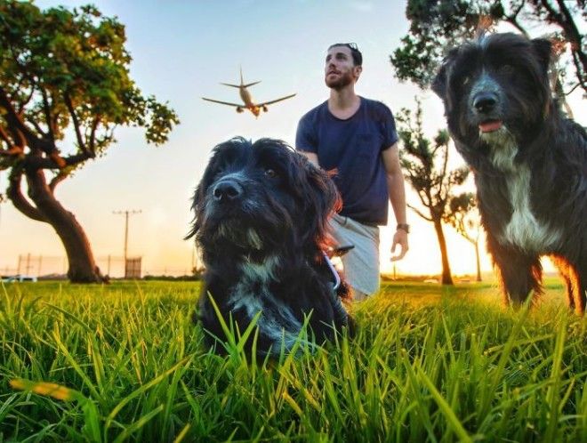 Travel-With-Two-Homeless-Dogs-Jordan-Kahana