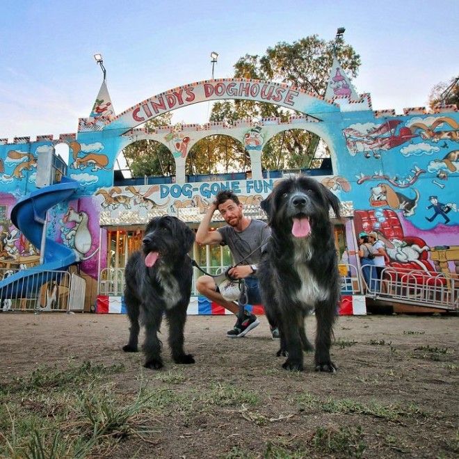 Travel-With-Two-Homeless-Dogs-Jordan-Kahana