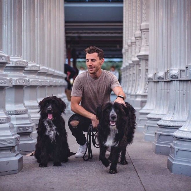 Travel-With-Two-Homeless-Dogs-Jordan-Kahana