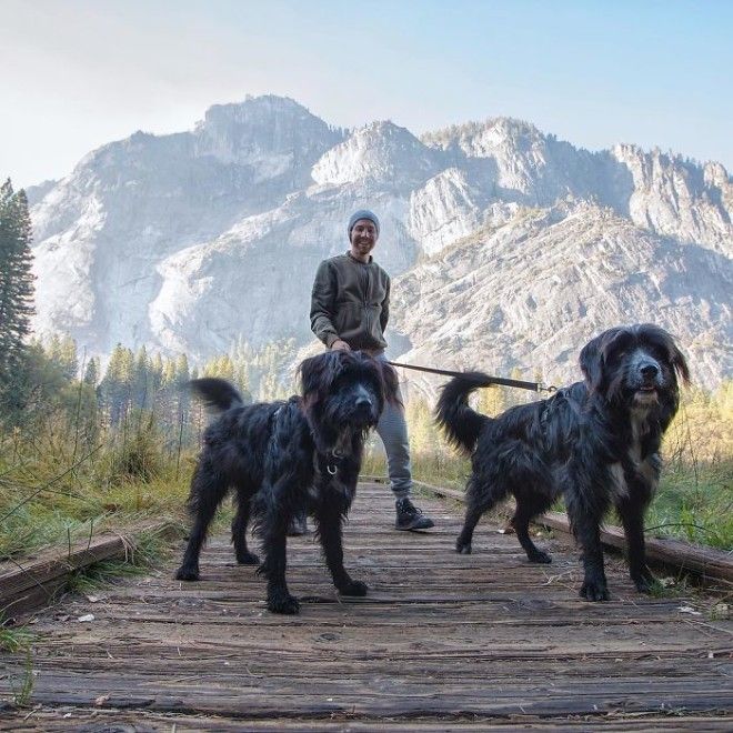 Travel-With-Two-Homeless-Dogs-Jordan-Kahana