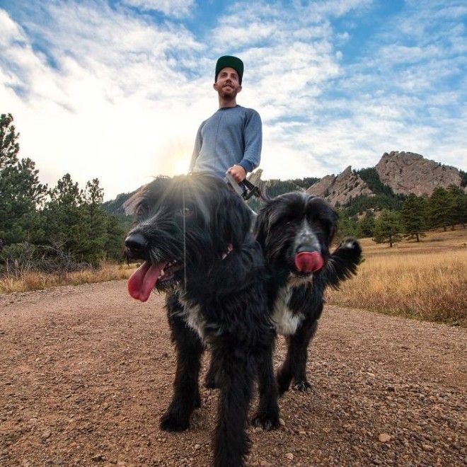 Travel-With-Two-Homeless-Dogs-Jordan-Kahana