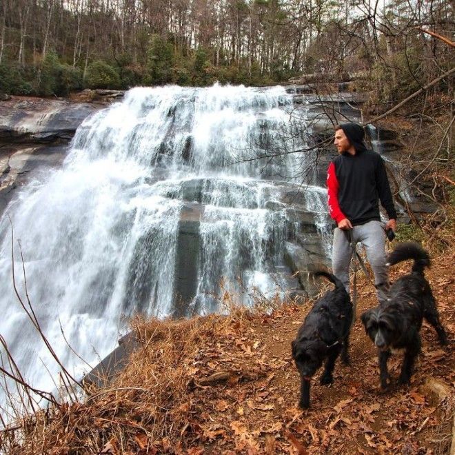 Travel-With-Two-Homeless-Dogs-Jordan-Kahana