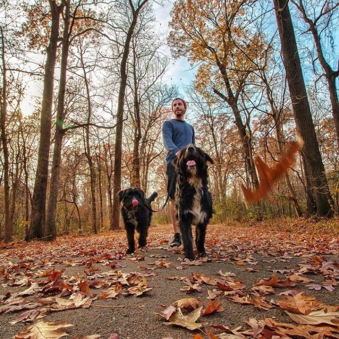 Travel-With-Two-Homeless-Dogs-Jordan-Kahana