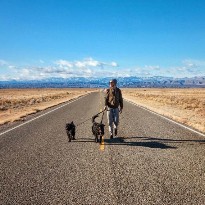 Travel-With-Two-Homeless-Dogs-Jordan-Kahana